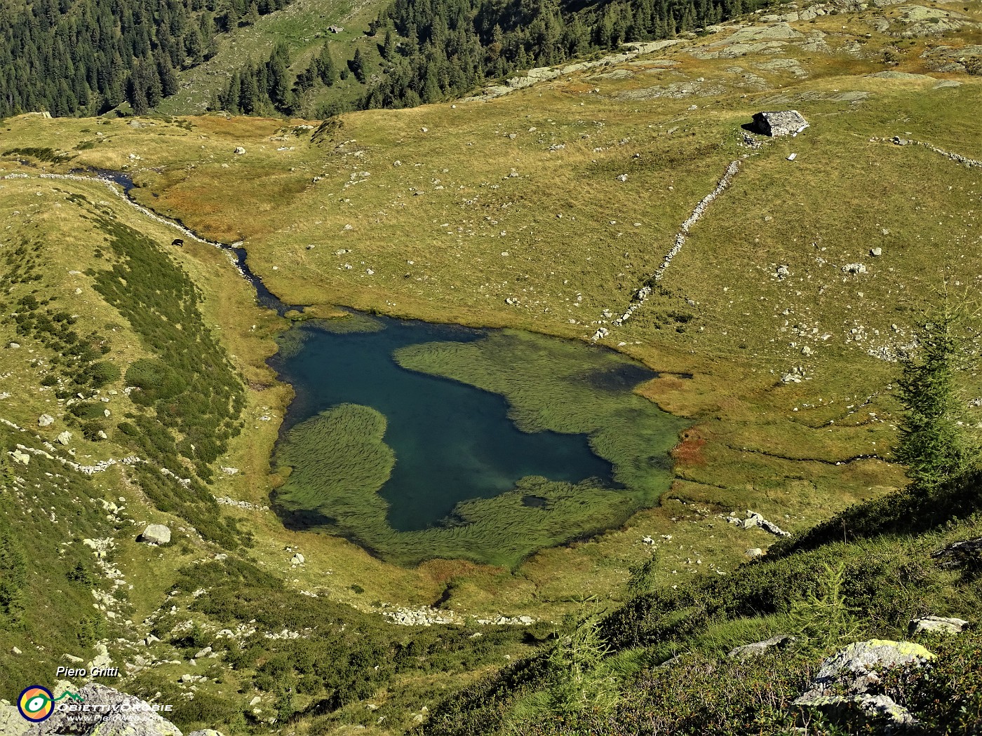 33 Vista sul Lago Piccolo (1986 m) coperto di piante acquatiche.JPG